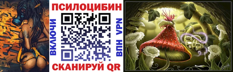 Галлюциногенные грибы Cubensis Серов