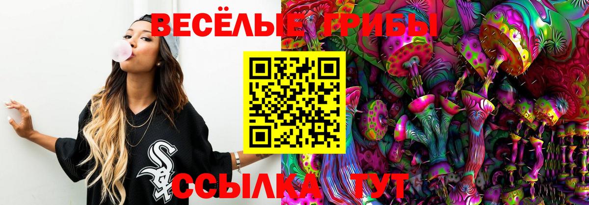 Псилоцибиновые грибы Psilocybine cubensis  Вход с VPN  Серов  Галлюциногенные грибы мухоморы 