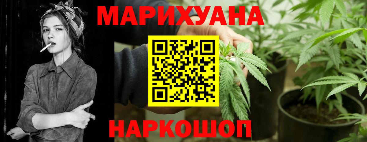 Канабис Ganja  Бошки марихуана планчик  Серов  Бошки Шишки Ganja  Вход с VPN 